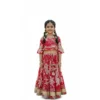 Red lehenga choli for girls full length catalog view, stylish ethnic outfit