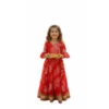 Red lehenga choli for girls catalog image, elegant and stylish ethnic wear