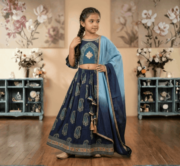 Girls Lehenga Choli hover view