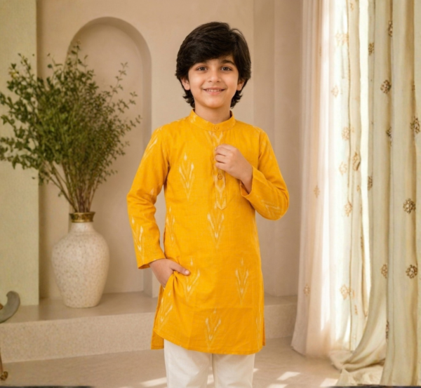 Boys Kurta Pyjama hover view
